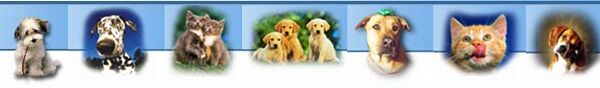 Animal Aid, Inc. is a non-profit, all-volunteer animal rescue shelter