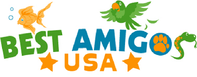 Best Amigos USA