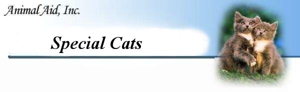 Special Cats