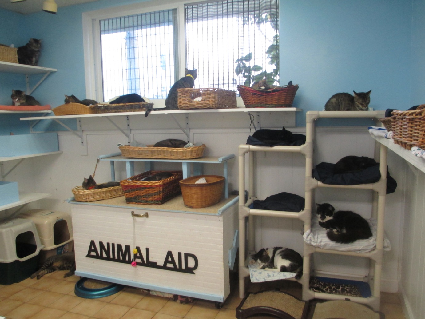 Animal Aid, Inc., a non-profit South Florida pet adoption shelter