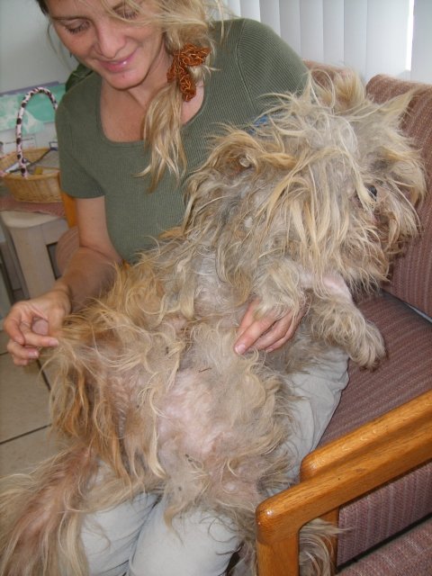 Marley Before