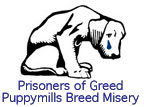 Prisoners of Greed Button