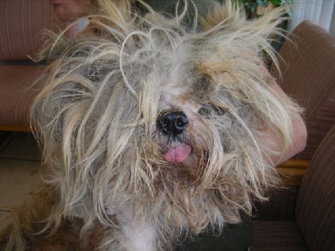 Marley Before