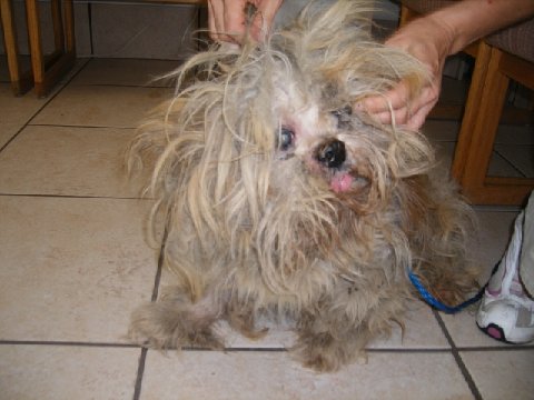 Marley After