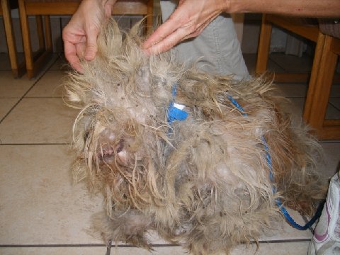 Marley Before