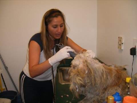 Marley Before