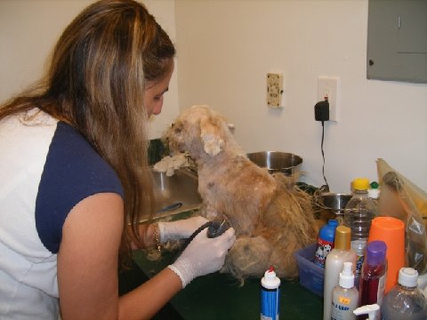 Marley After