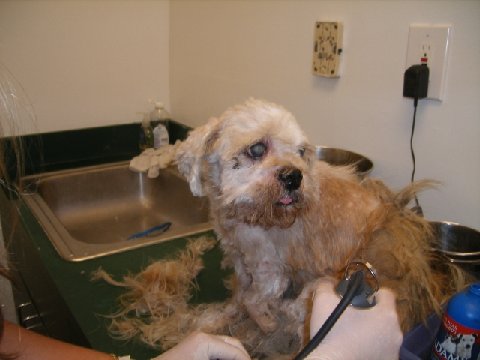 Marley Before