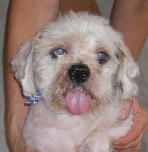 Marley After