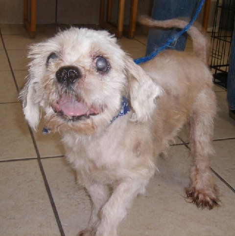 Marley After
