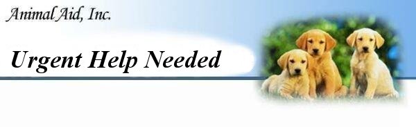 Urgent Help Needed